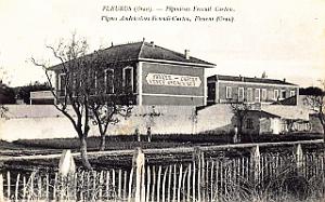 Fleurus - Pepinieres Fenouil-Carton